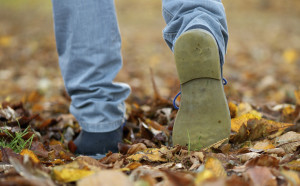 Shoes walking on autumn leaves from rear